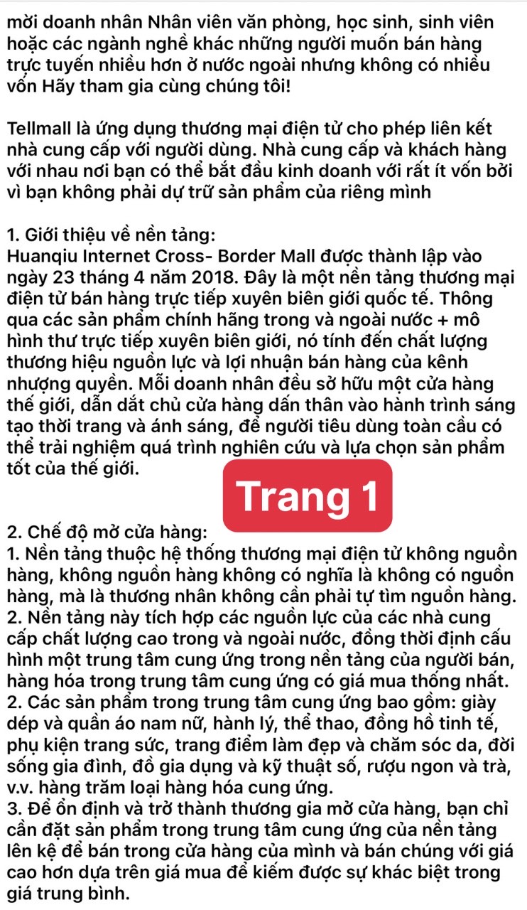 lĩnh vực hoạt động