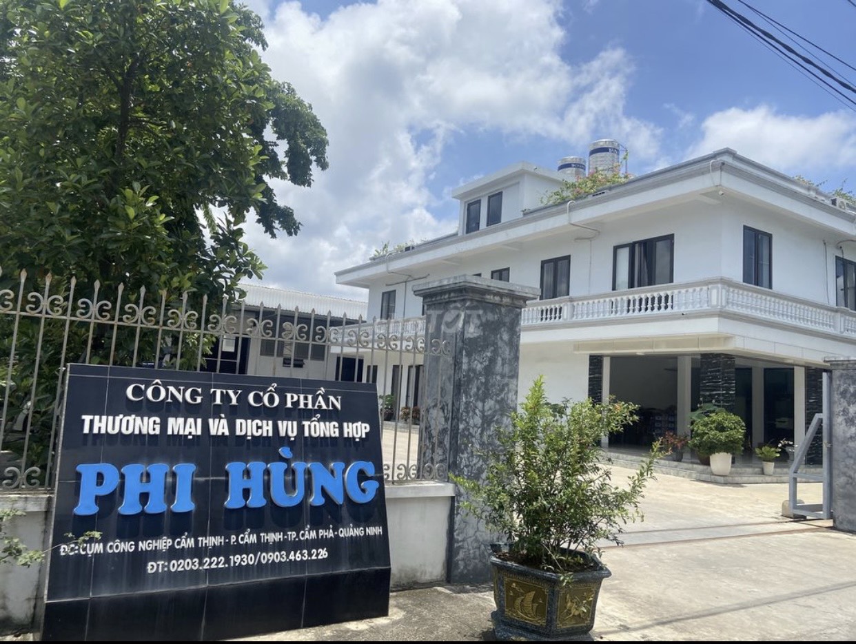 lĩnh vực hoạt động