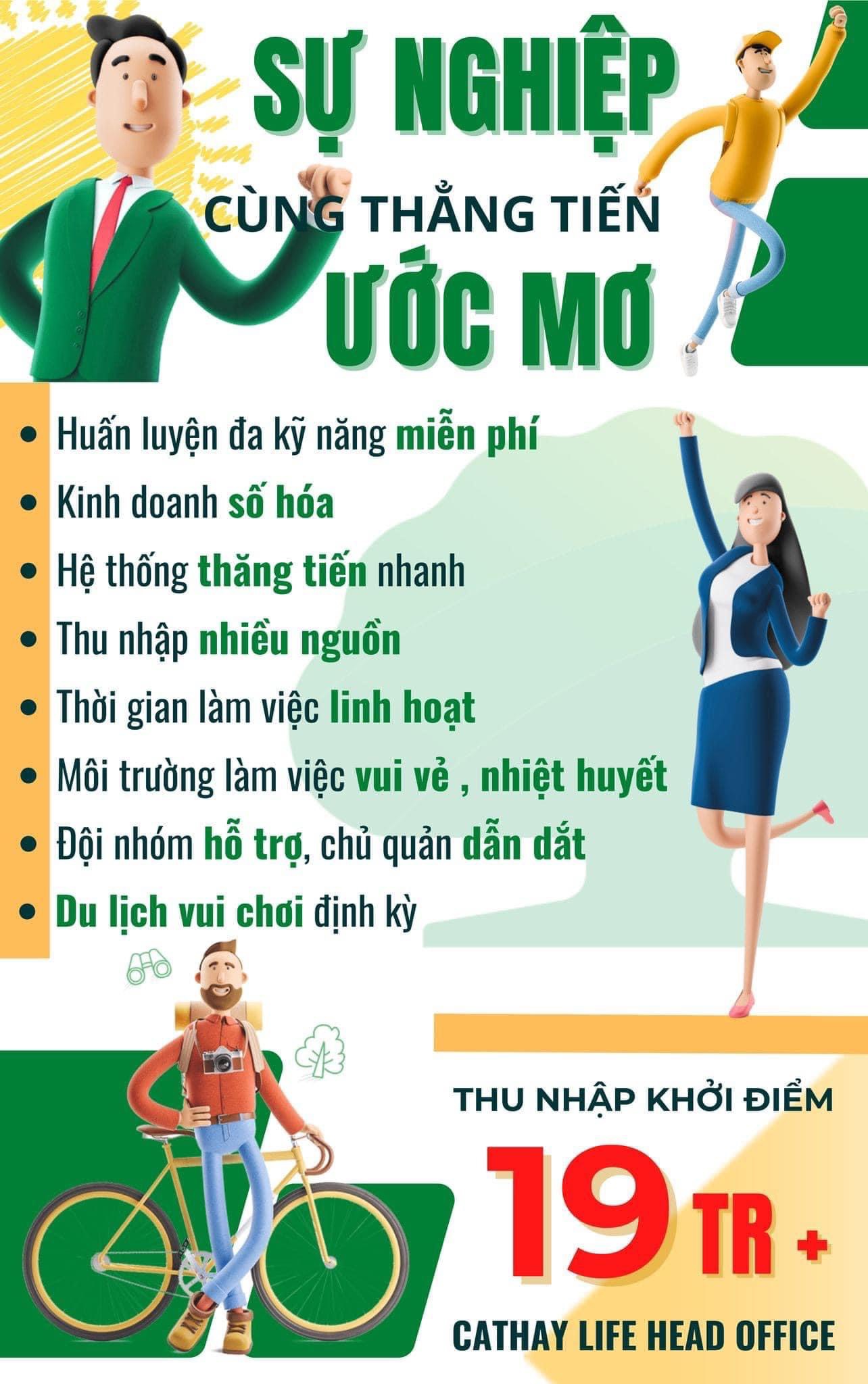 lĩnh vực hoạt động