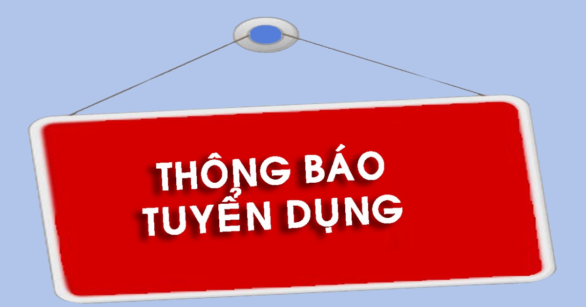 lĩnh vực hoạt động