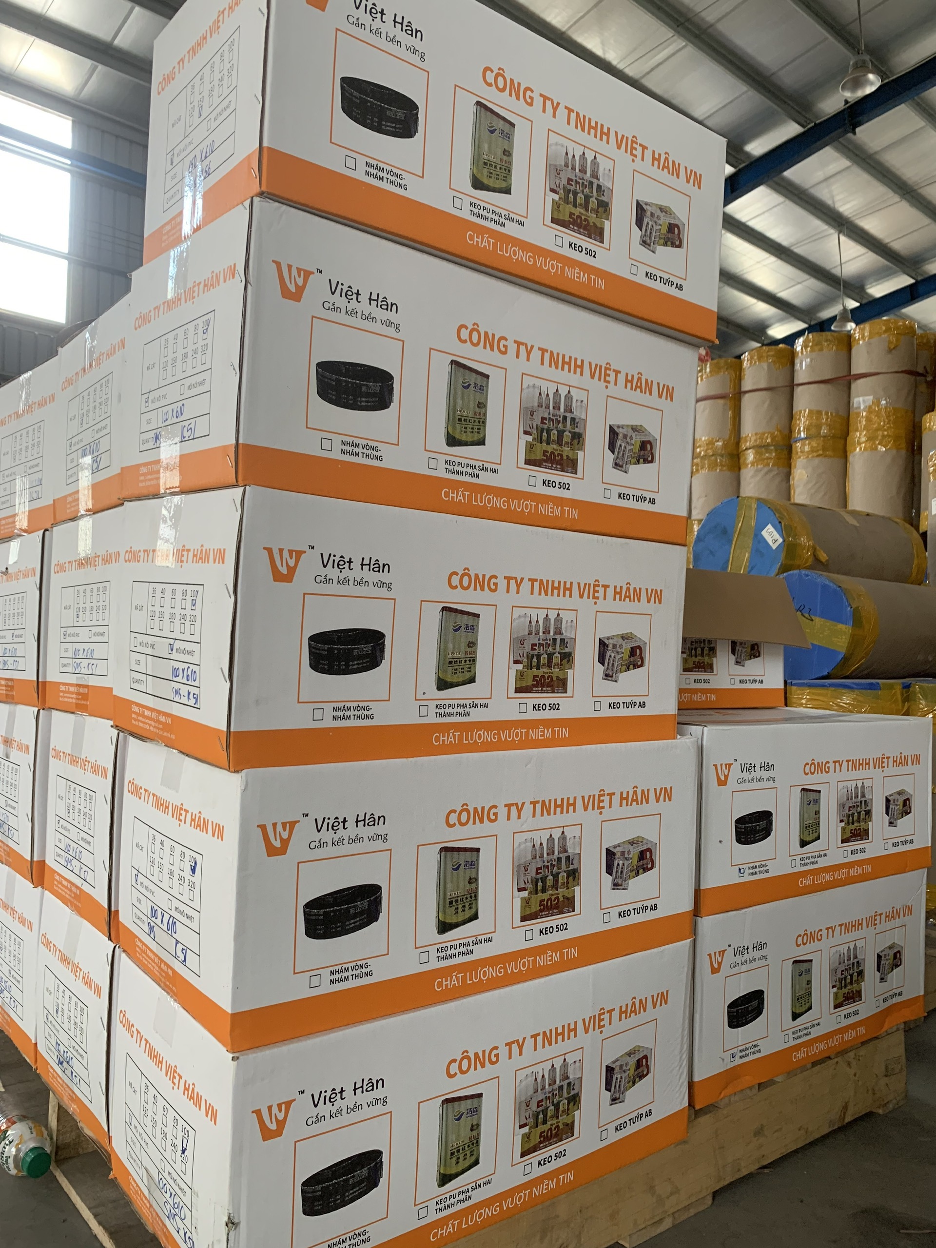 lĩnh vực hoạt động