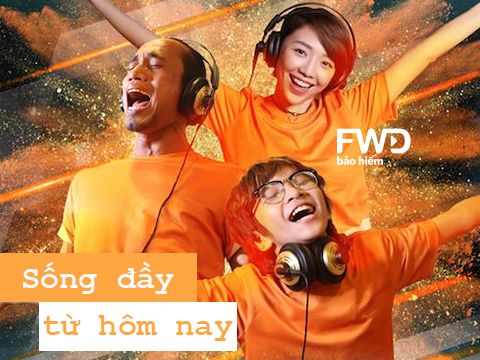 lĩnh vực hoạt động