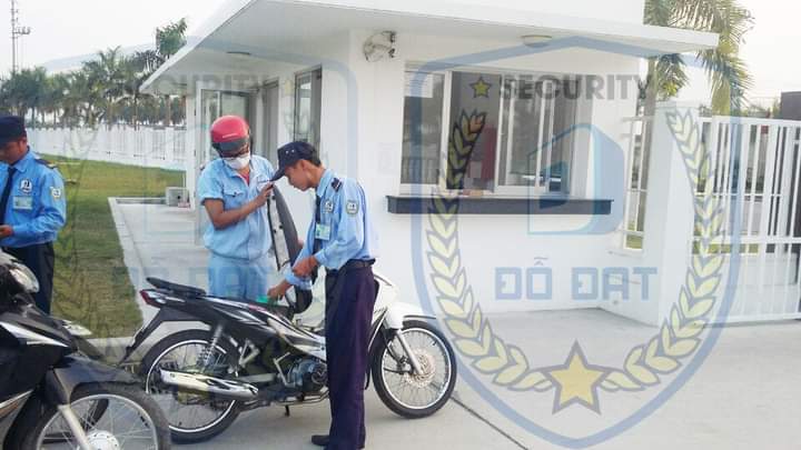 lĩnh vực hoạt động