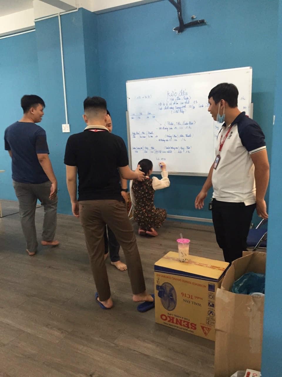 lĩnh vực hoạt động
