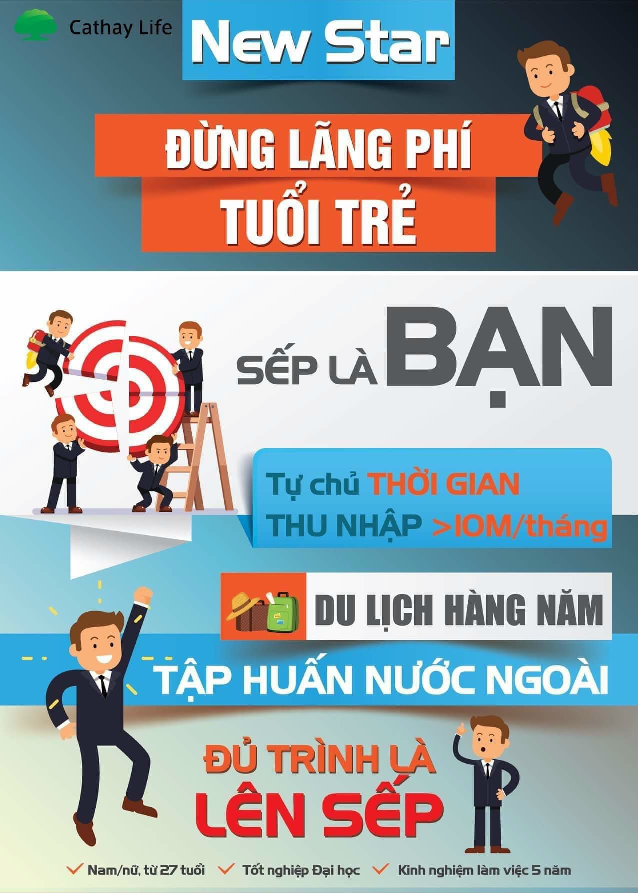 lĩnh vực hoạt động
