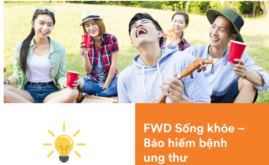 lĩnh vực hoạt động