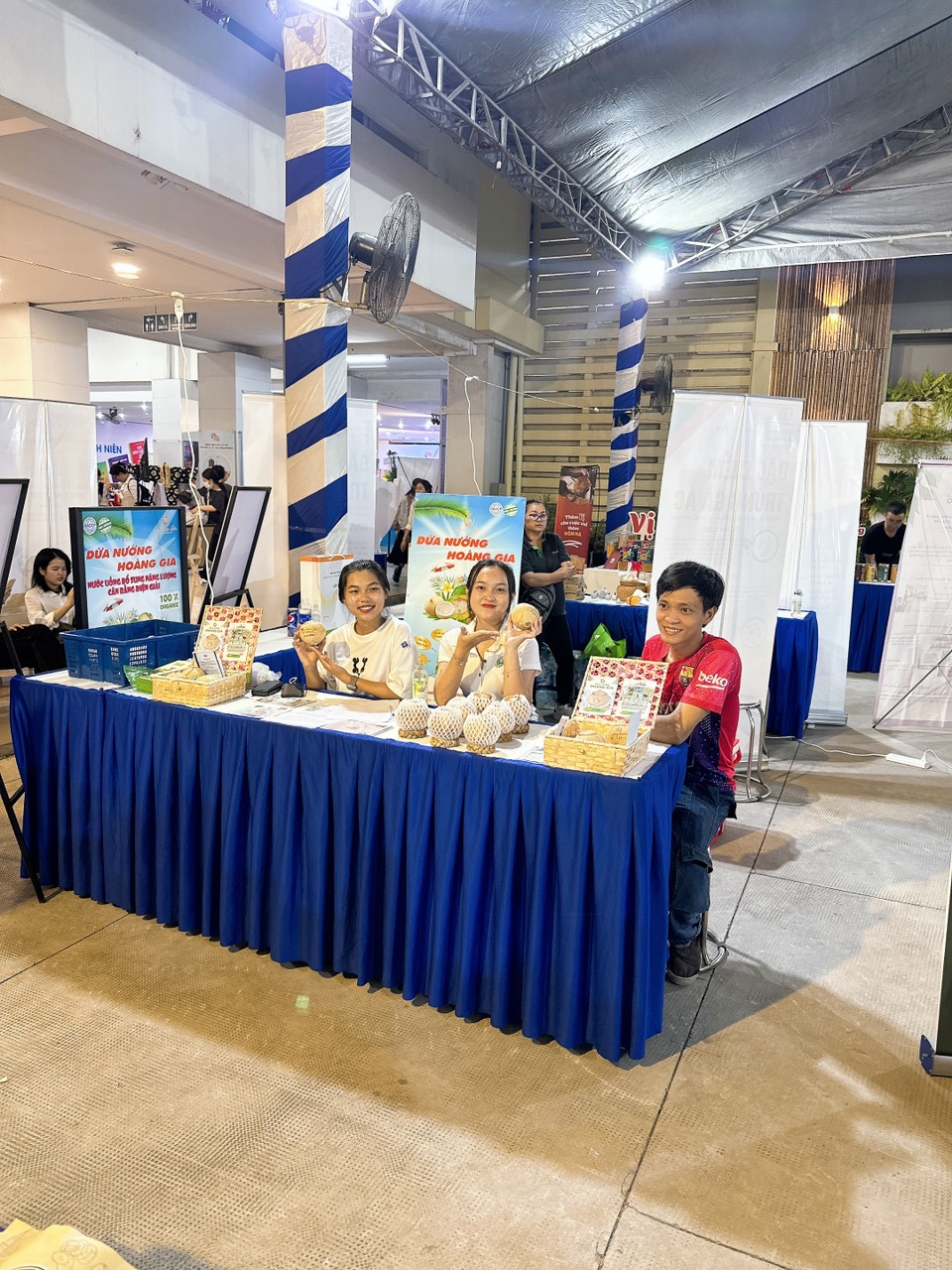 lĩnh vực hoạt động