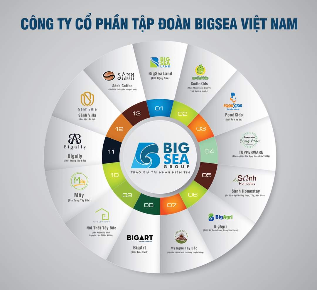 lĩnh vực hoạt động