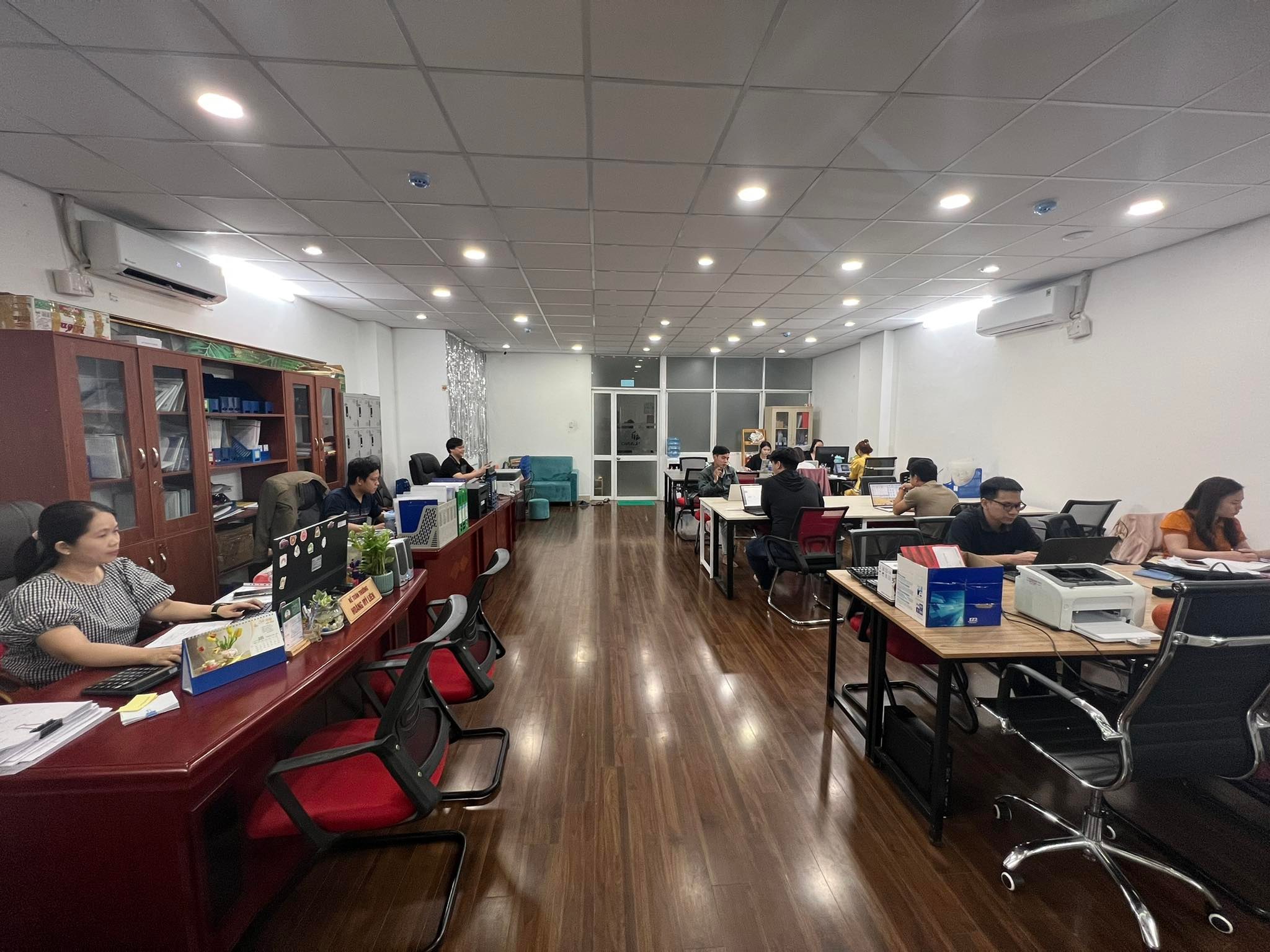 lĩnh vực hoạt động