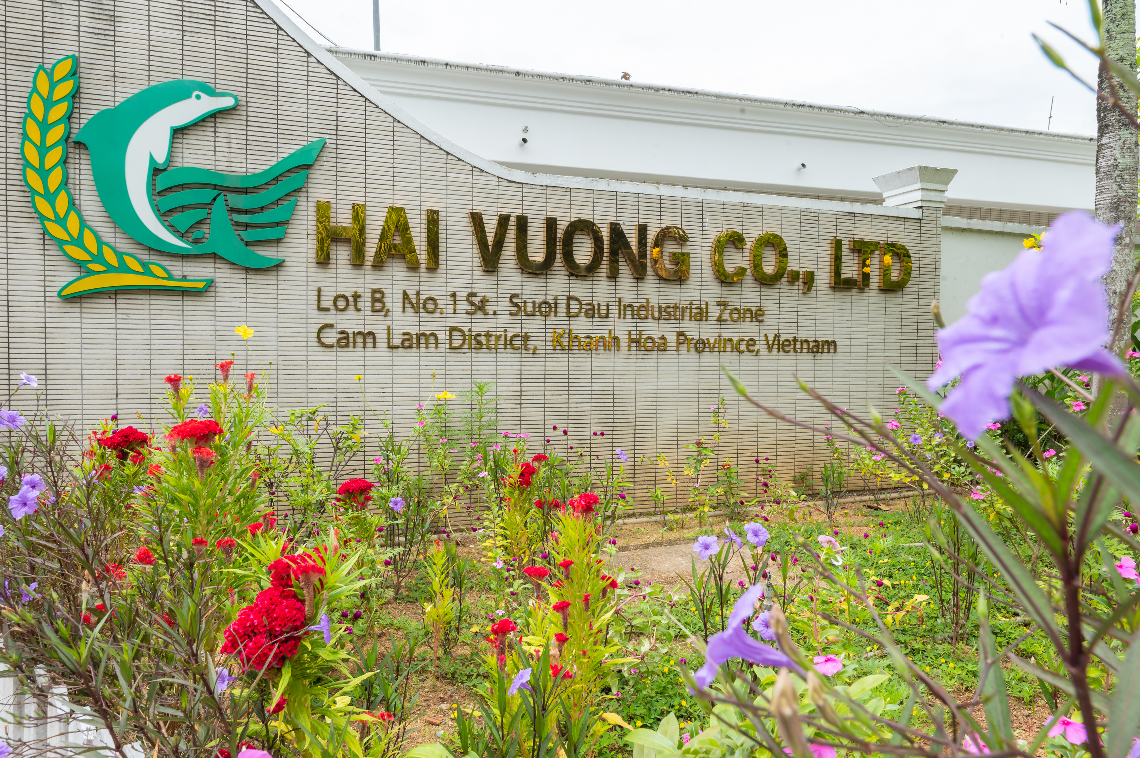 lĩnh vực hoạt động