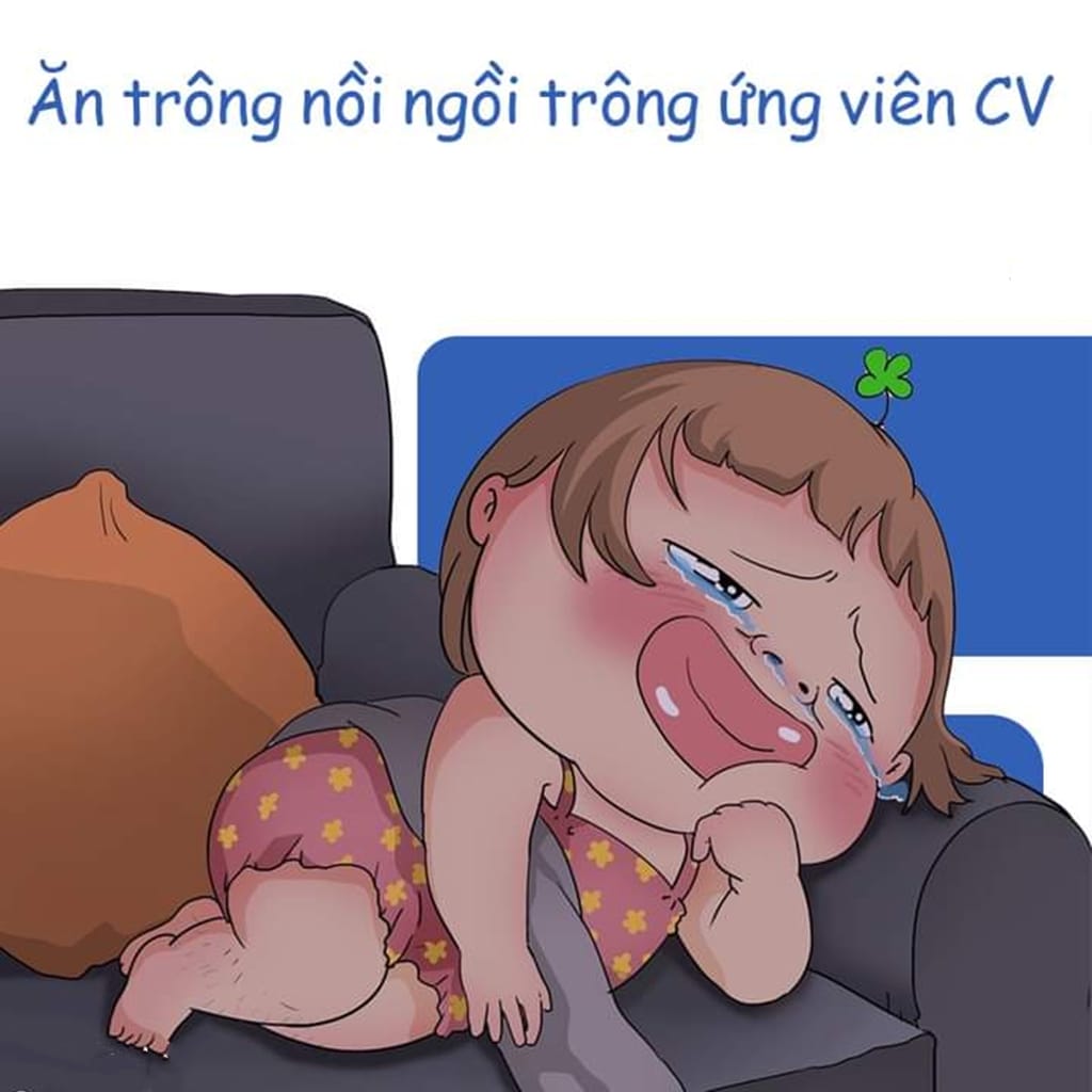 lĩnh vực hoạt động