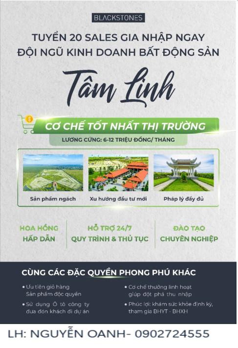 lĩnh vực hoạt động