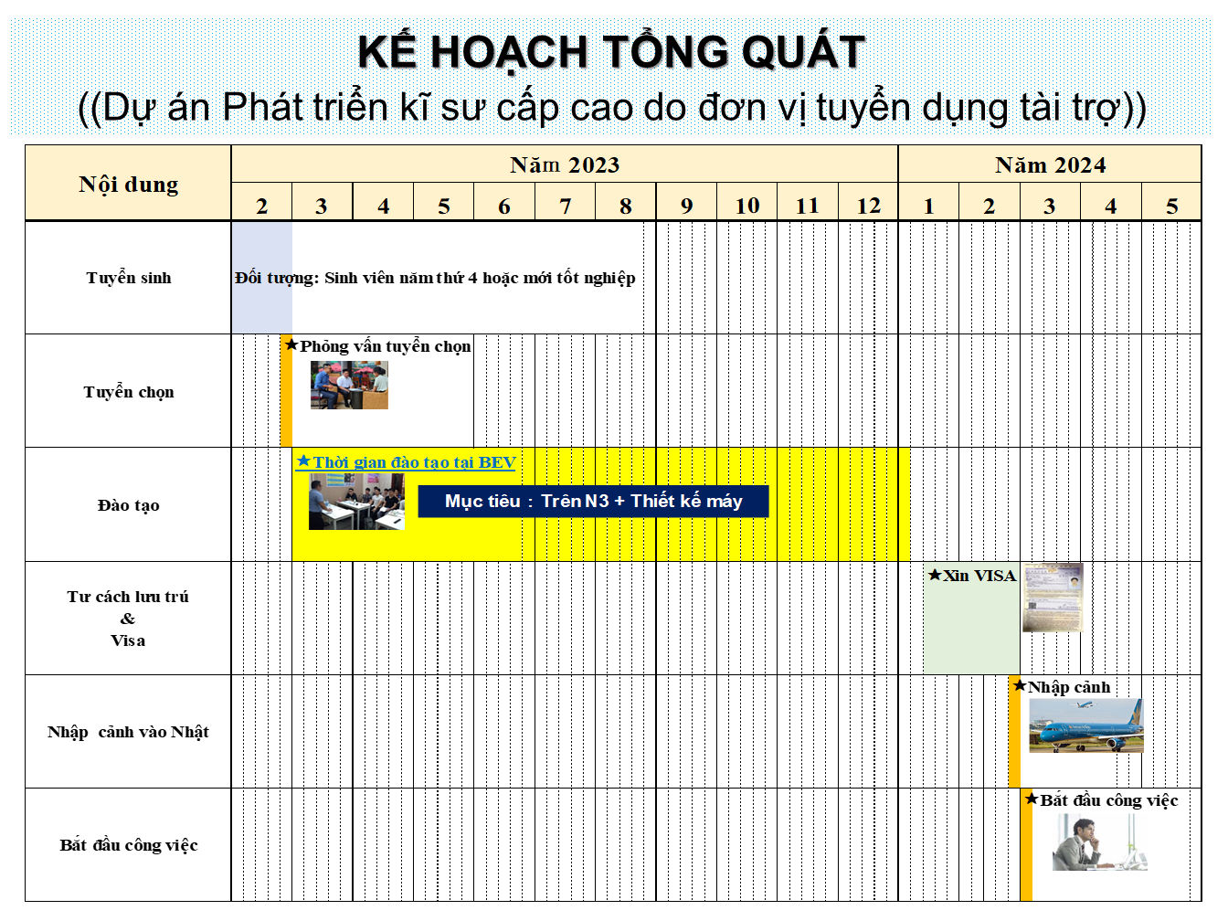 lĩnh vực hoạt động