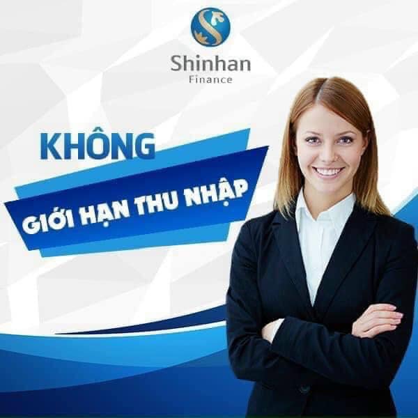lĩnh vực hoạt động