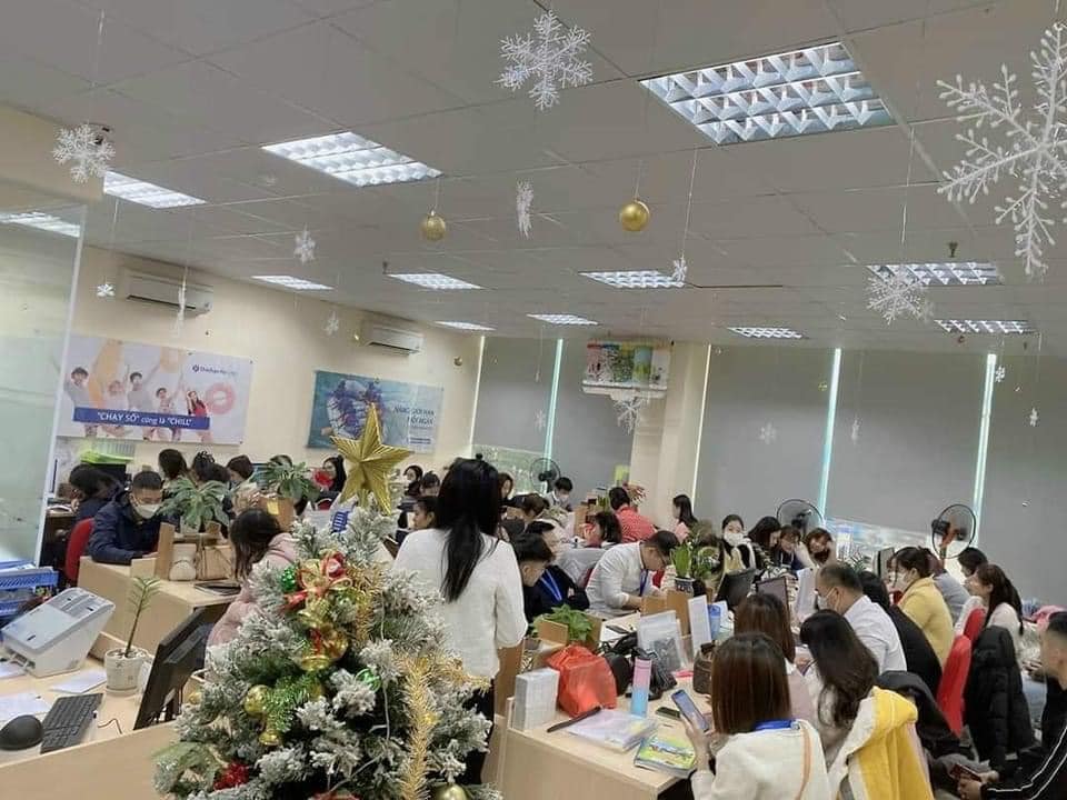 lĩnh vực hoạt động