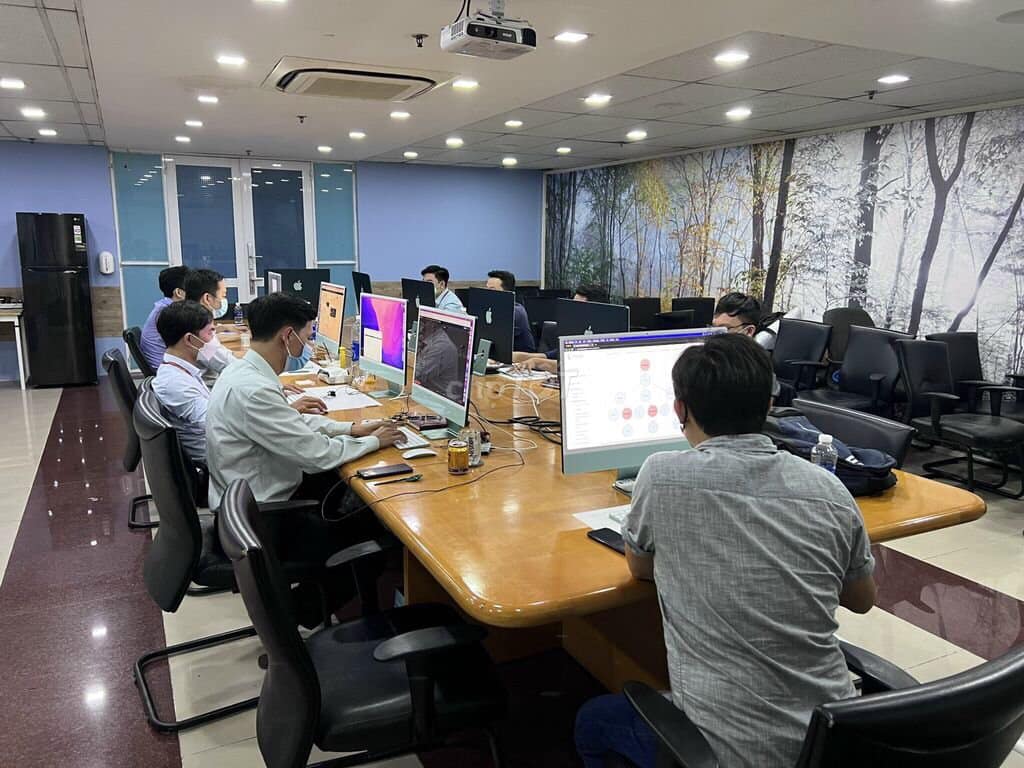 lĩnh vực hoạt động