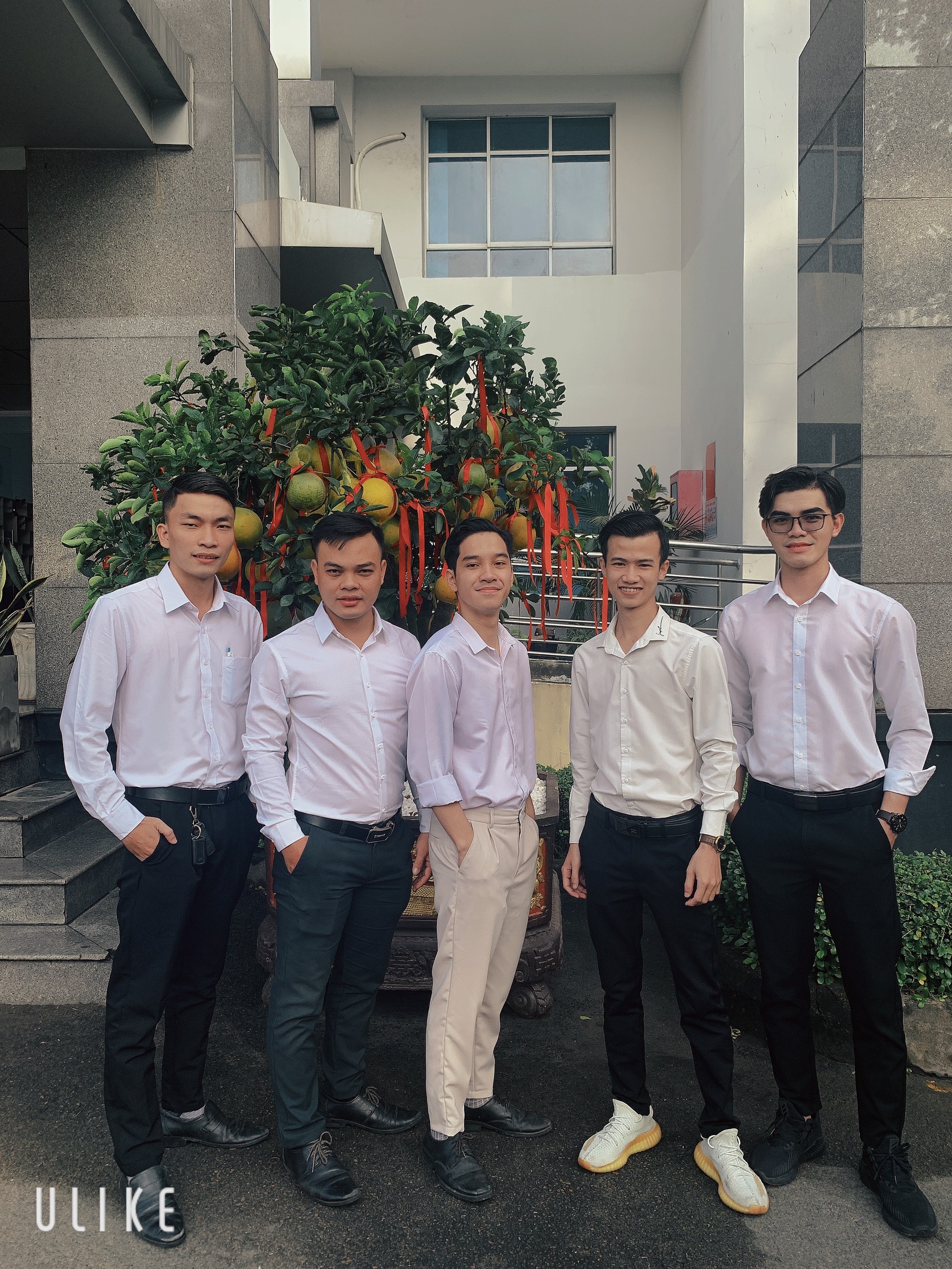 lĩnh vực hoạt động