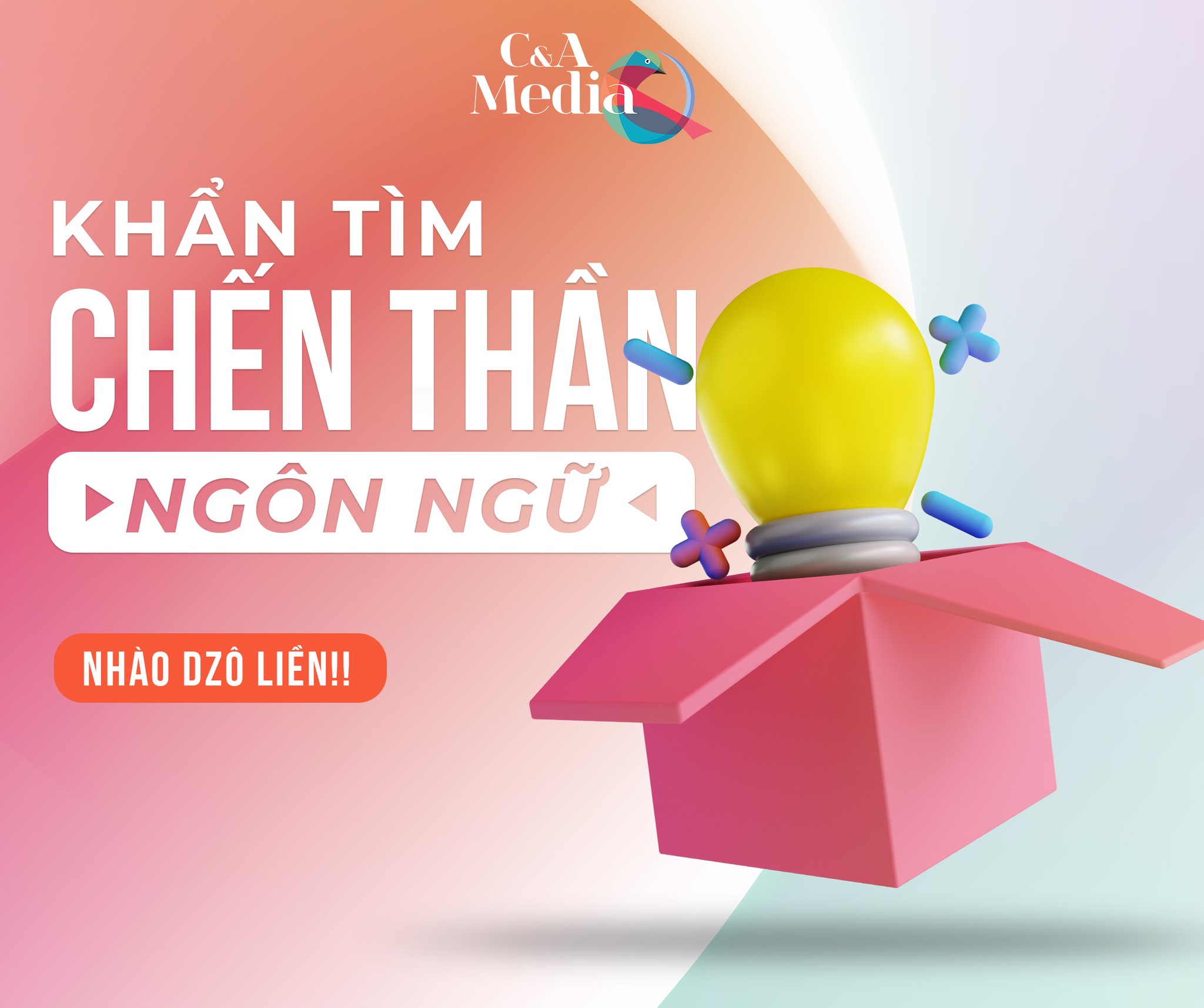 lĩnh vực hoạt động