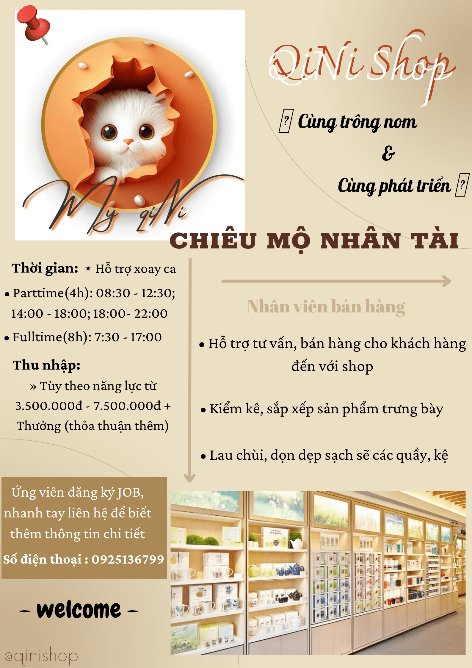 lĩnh vực hoạt động
