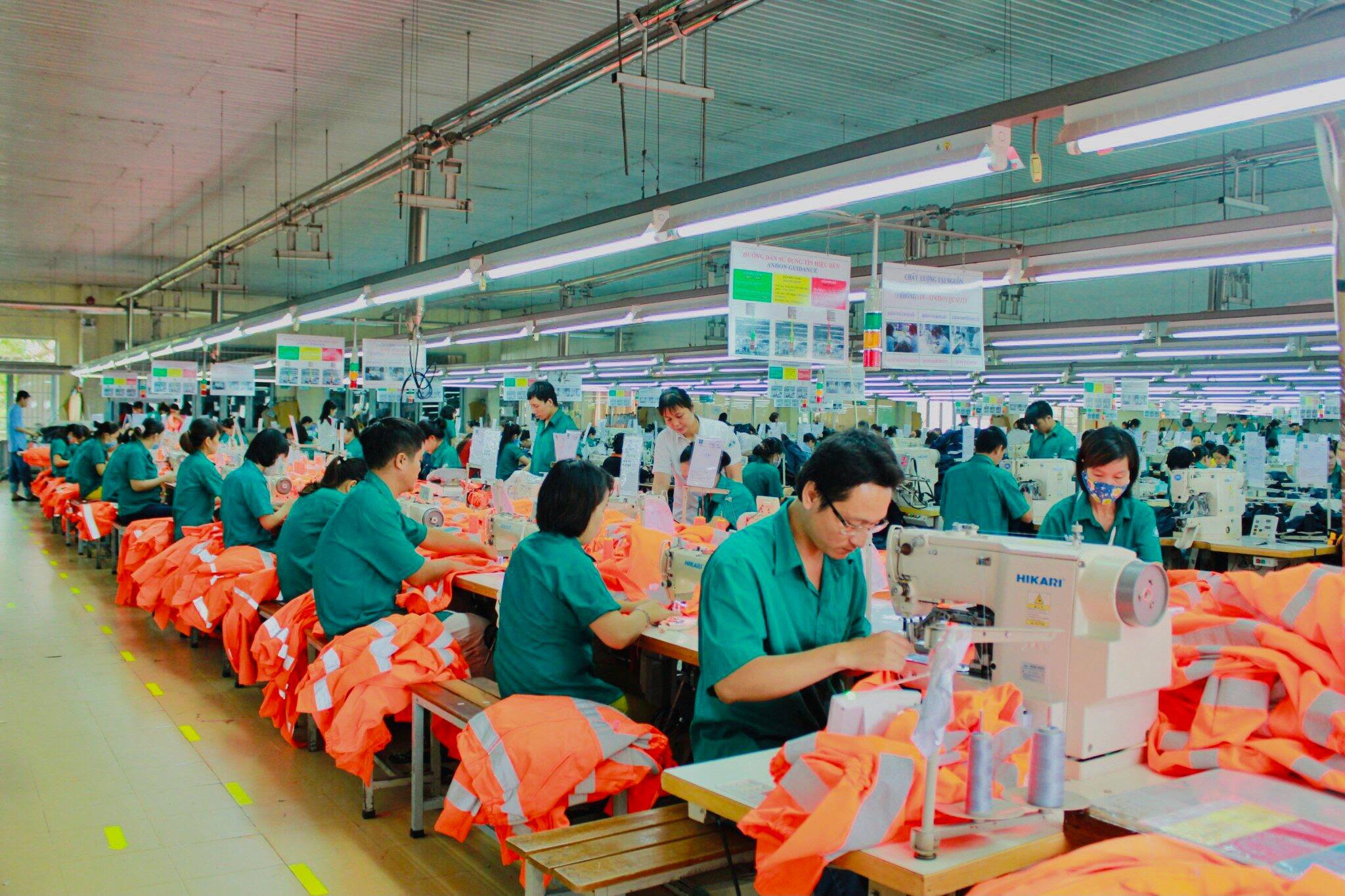 lĩnh vực hoạt động