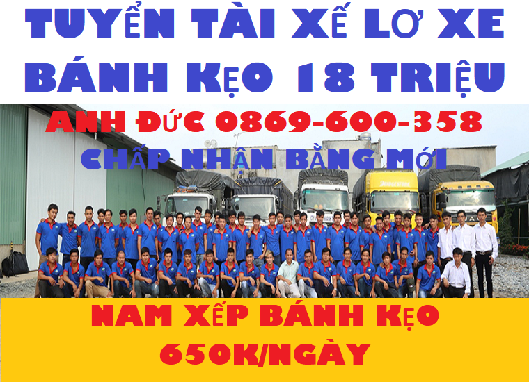 lĩnh vực hoạt động