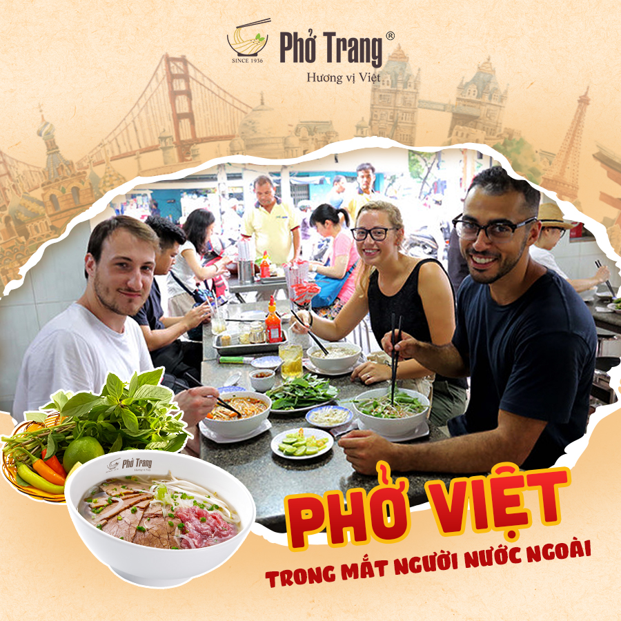 lĩnh vực hoạt động