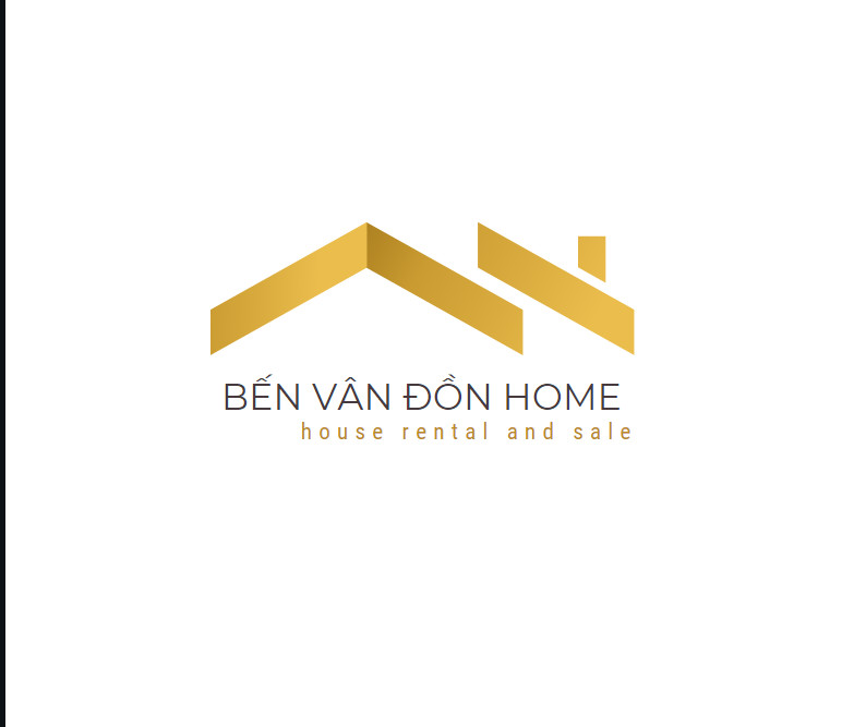 lĩnh vực hoạt động