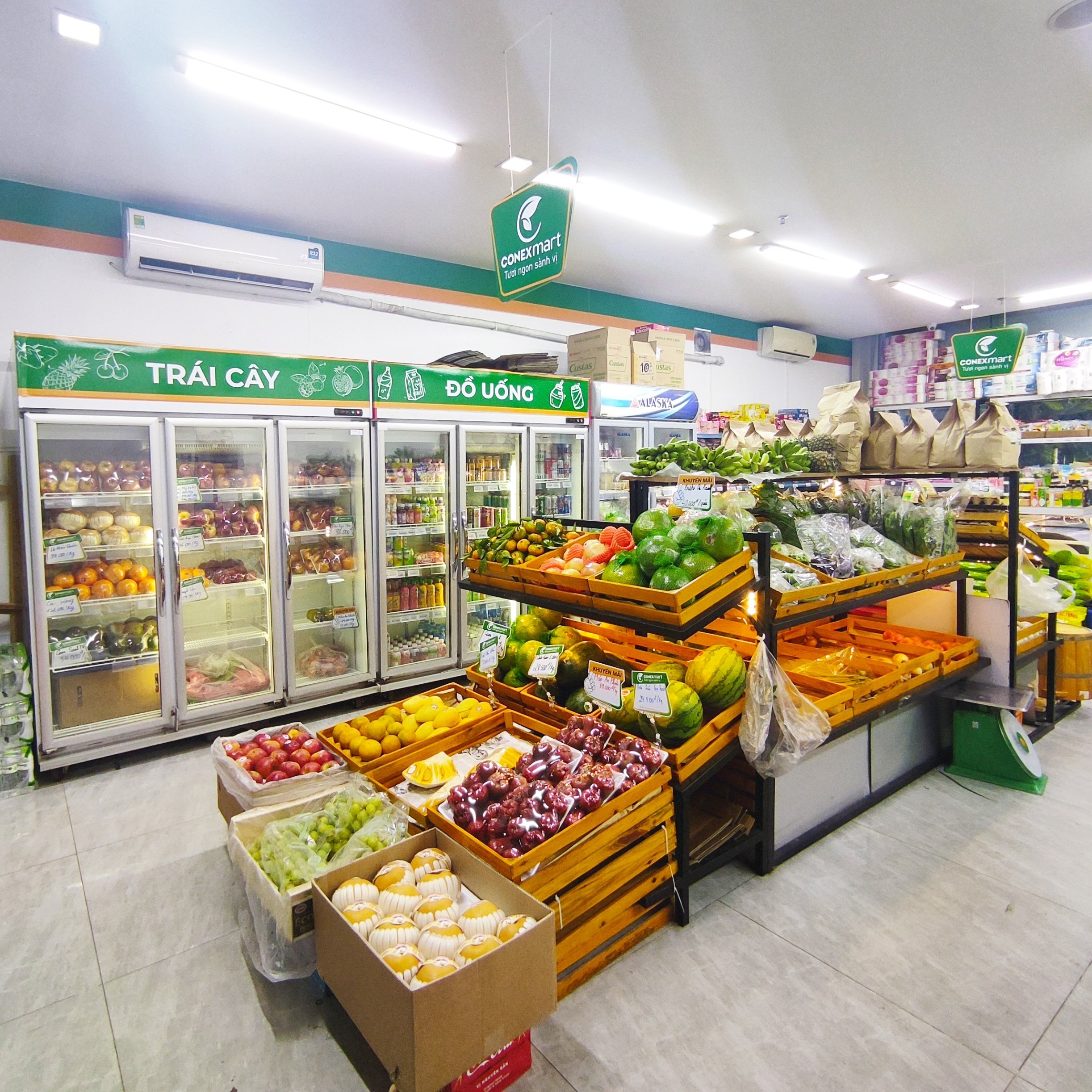 lĩnh vực hoạt động