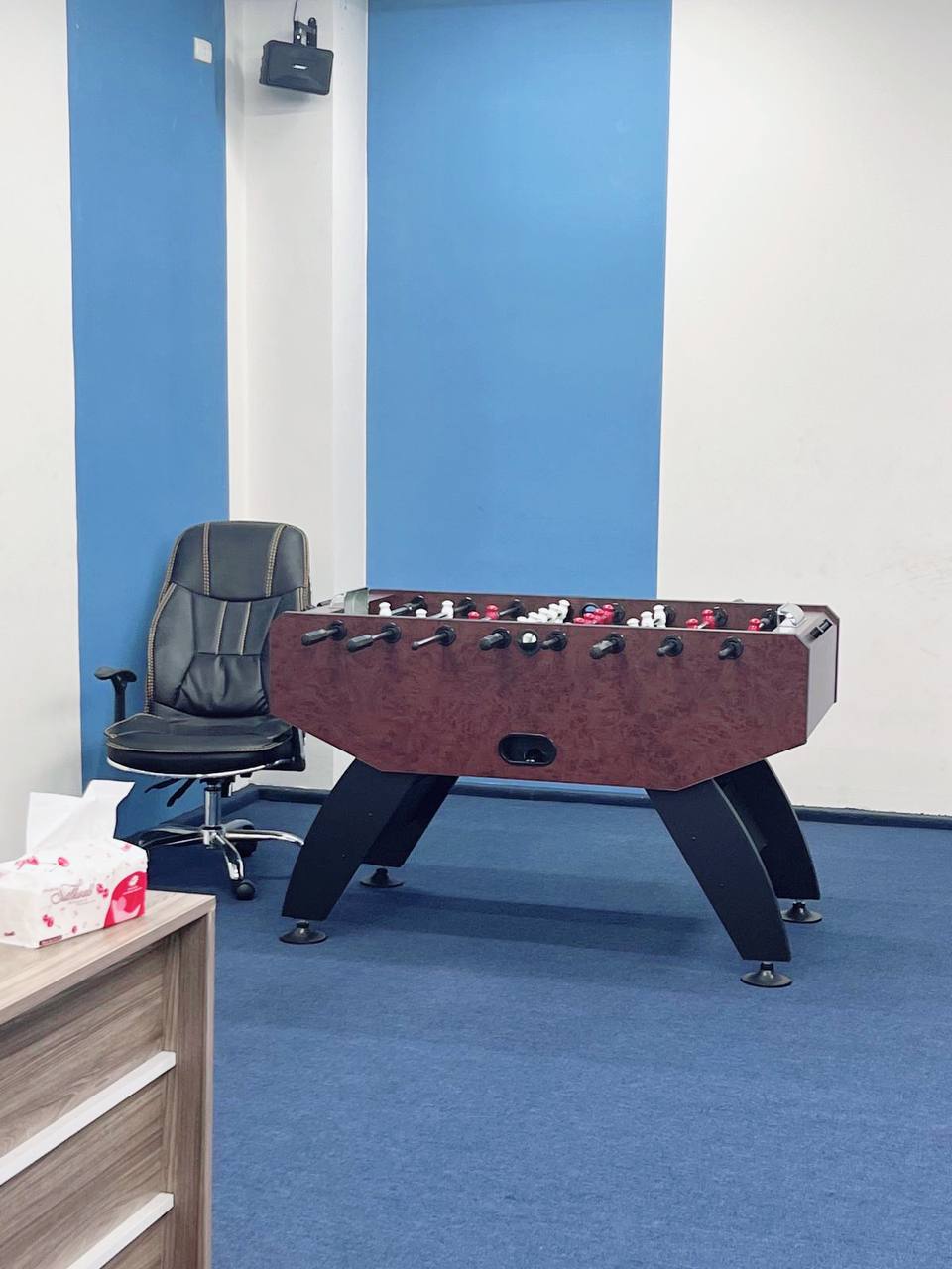 lĩnh vực hoạt động