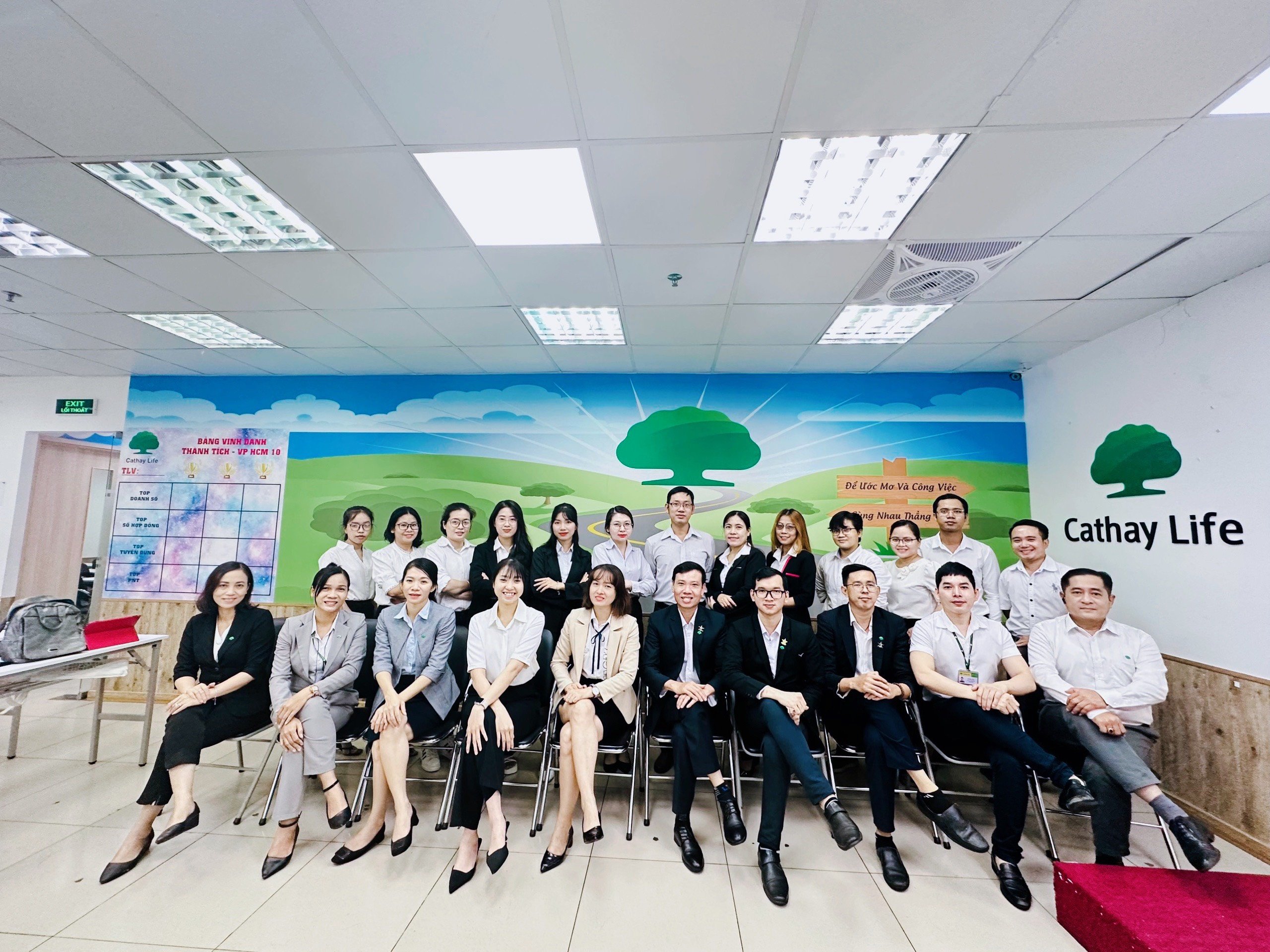 lĩnh vực hoạt động