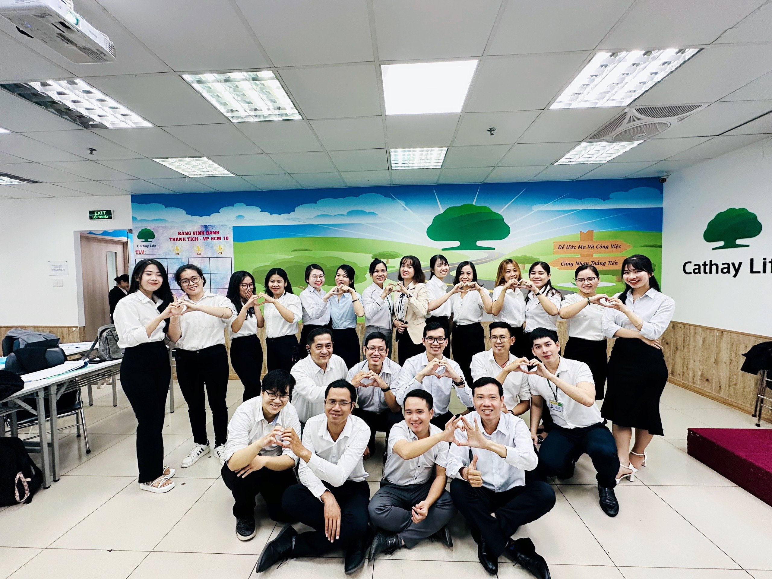 lĩnh vực hoạt động