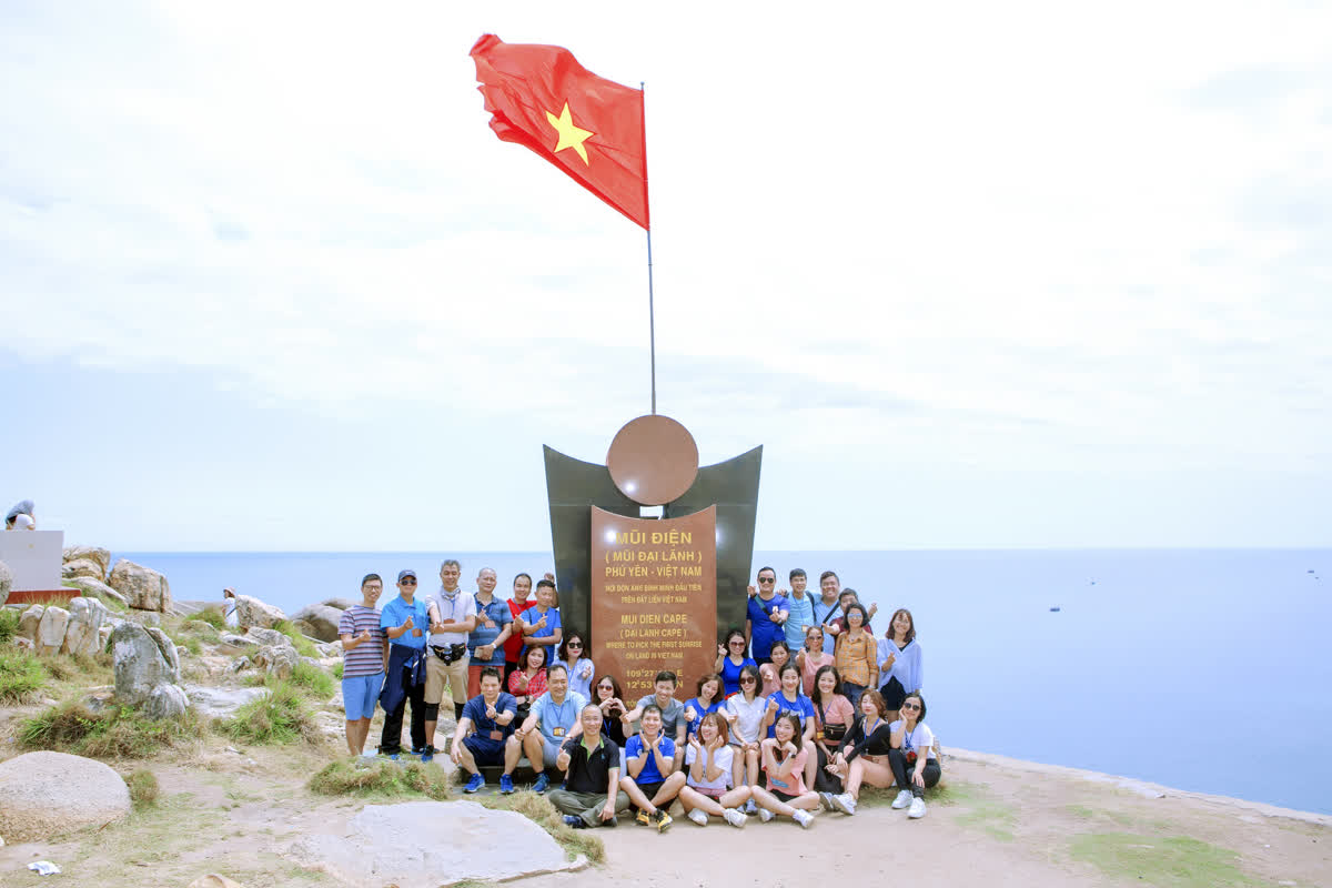 lĩnh vực hoạt động