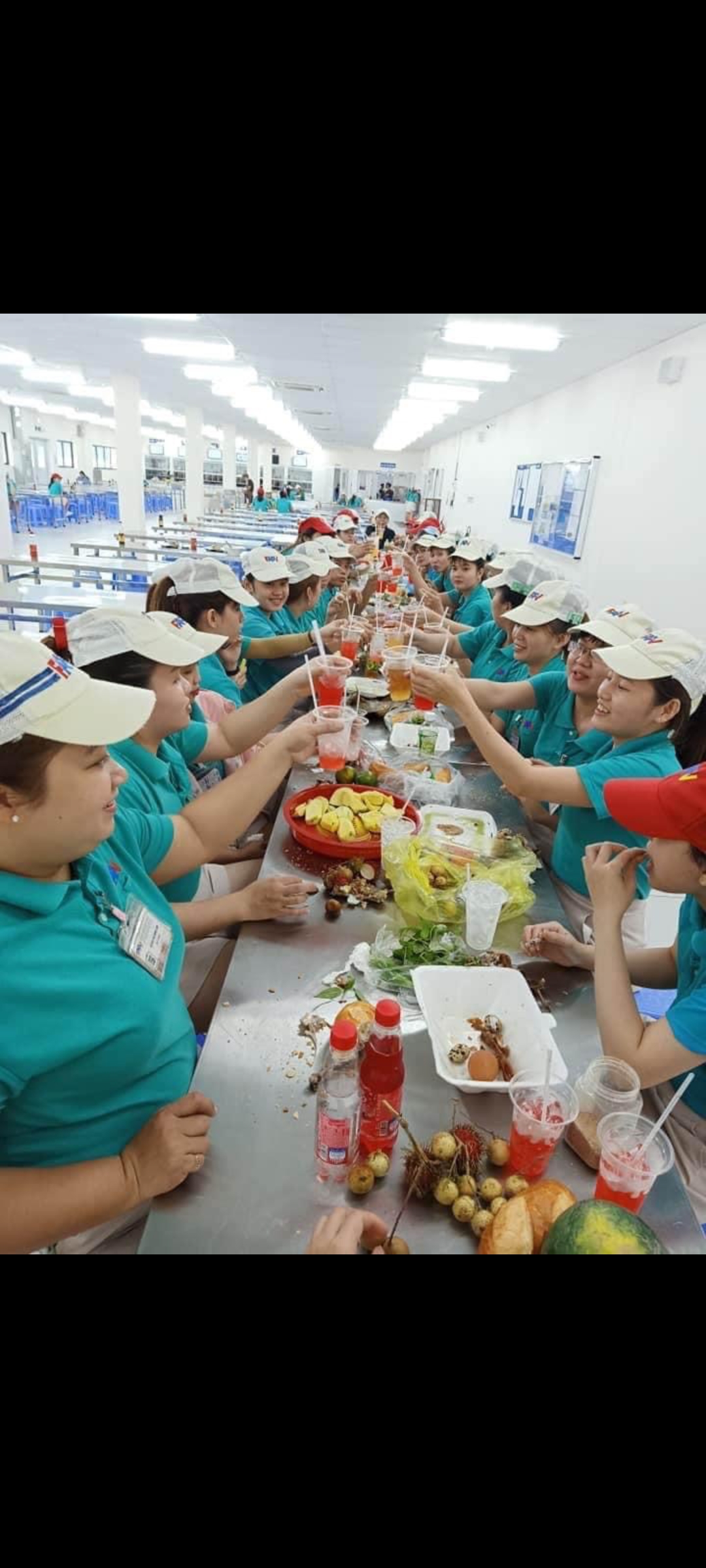 lĩnh vực hoạt động