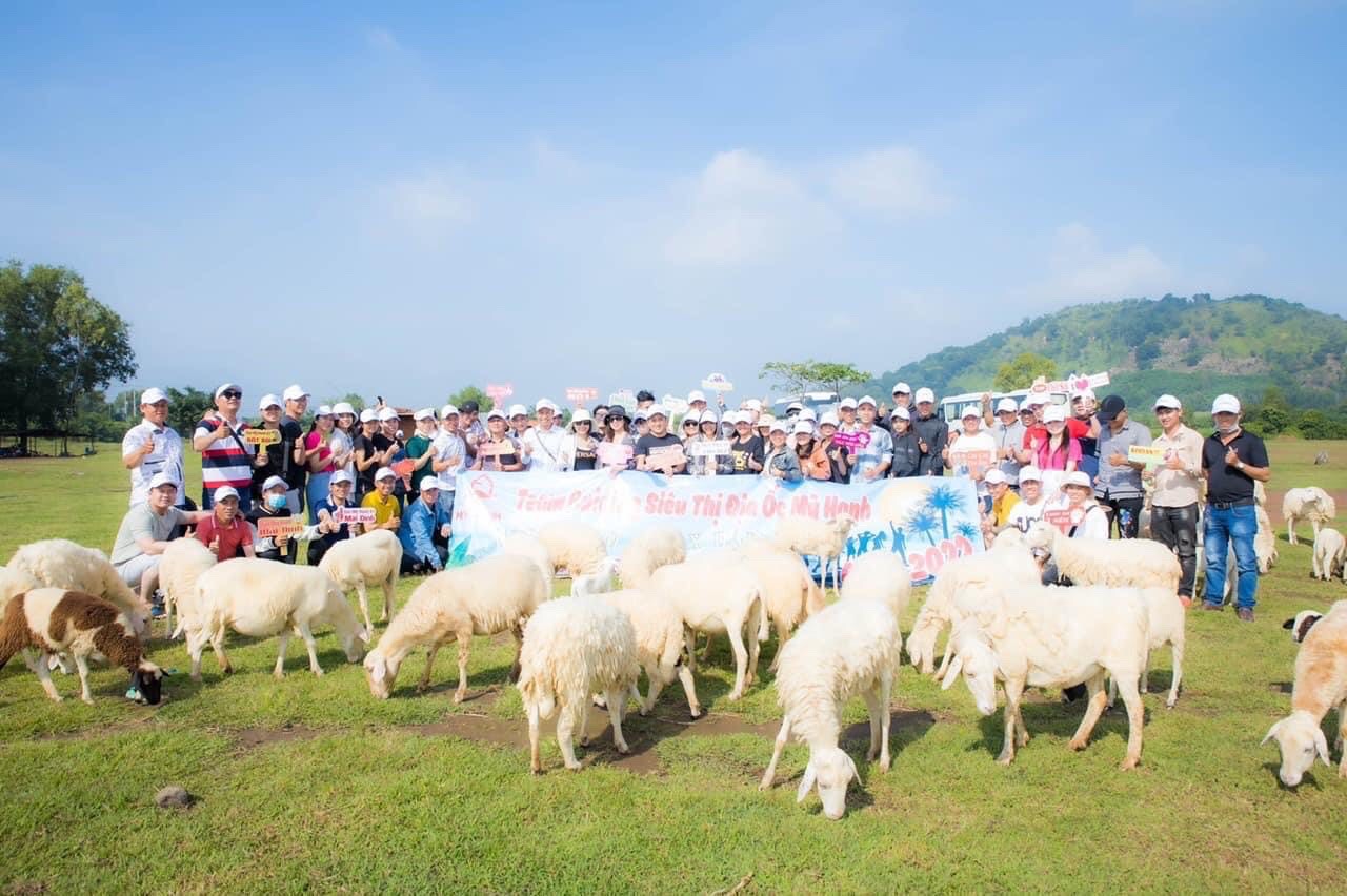 lĩnh vực hoạt động