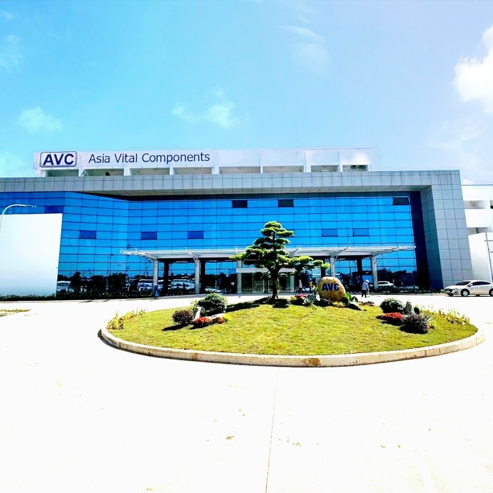 lĩnh vực hoạt động