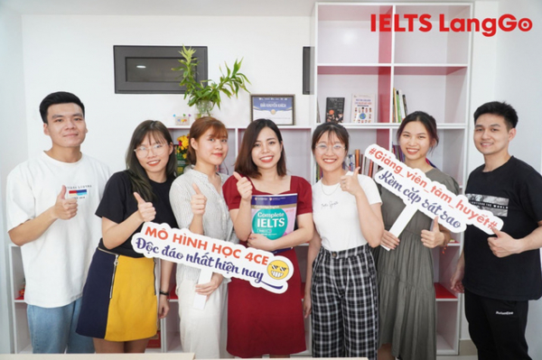 lĩnh vực hoạt động
