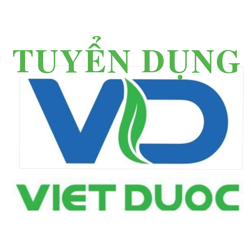 lĩnh vực hoạt động