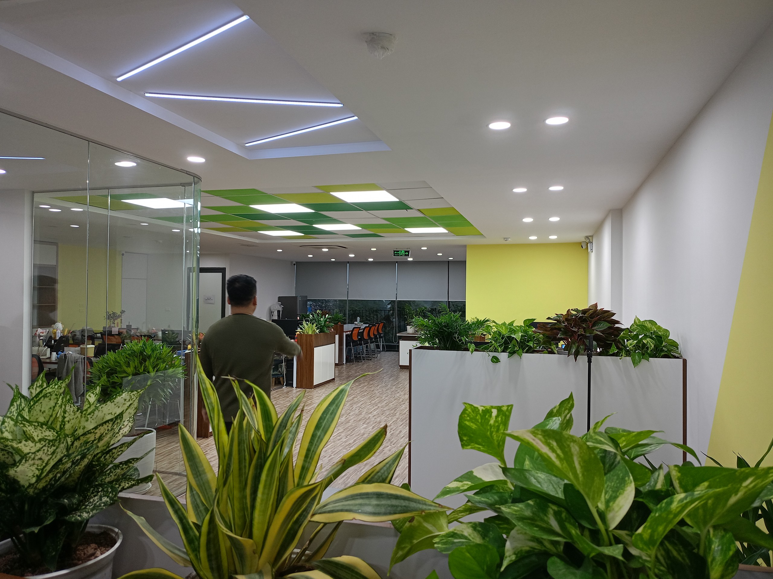 lĩnh vực hoạt động