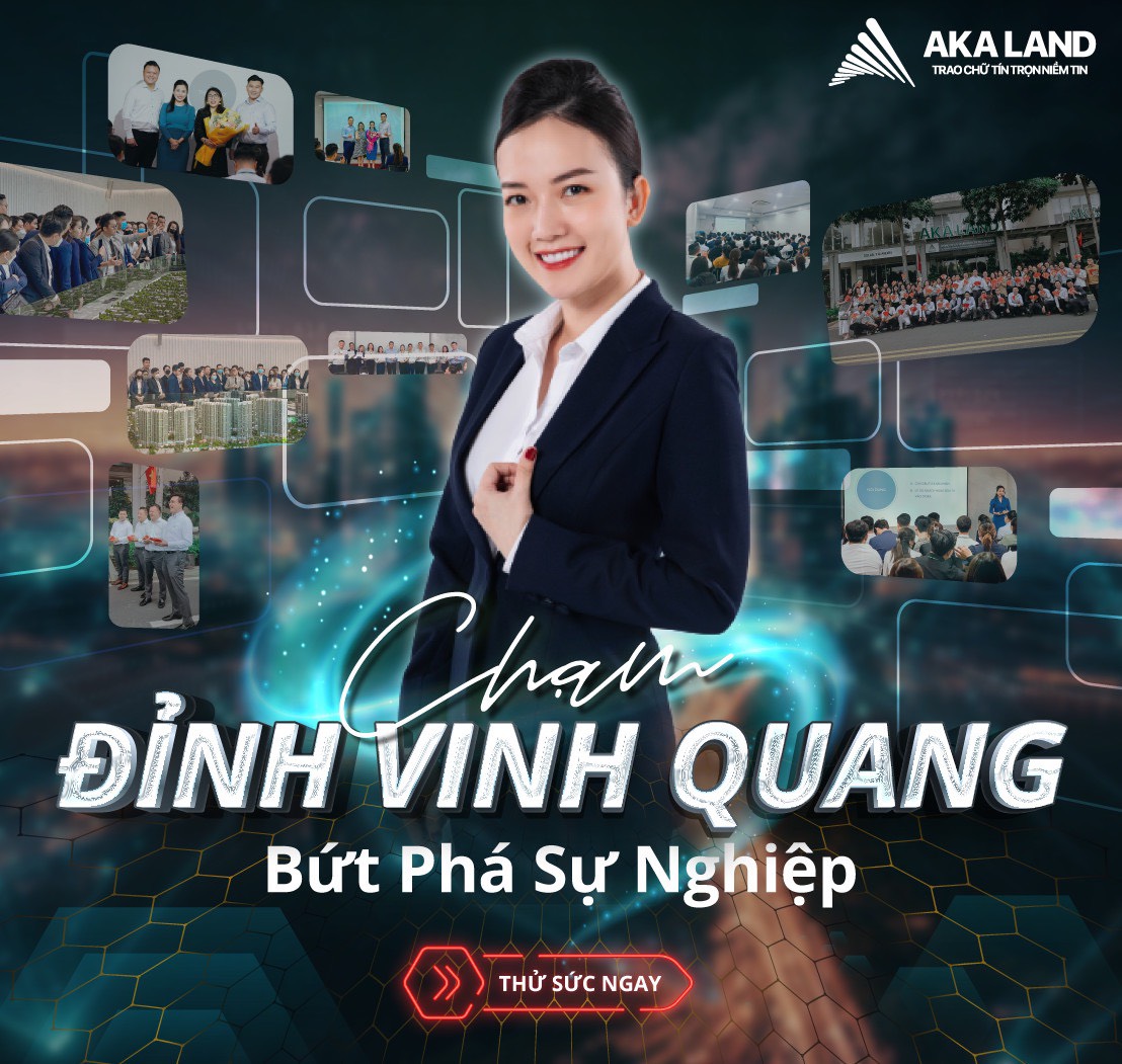 lĩnh vực hoạt động
