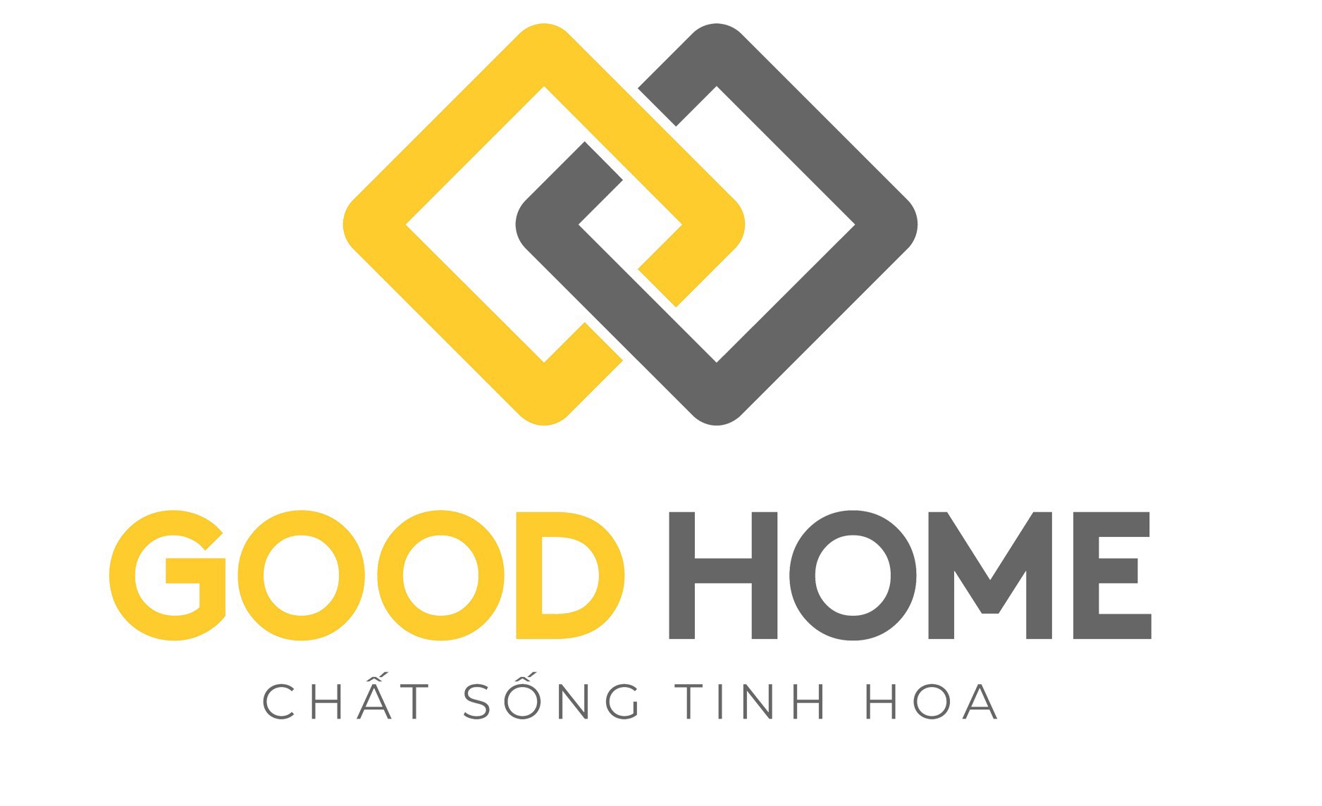 lĩnh vực hoạt động