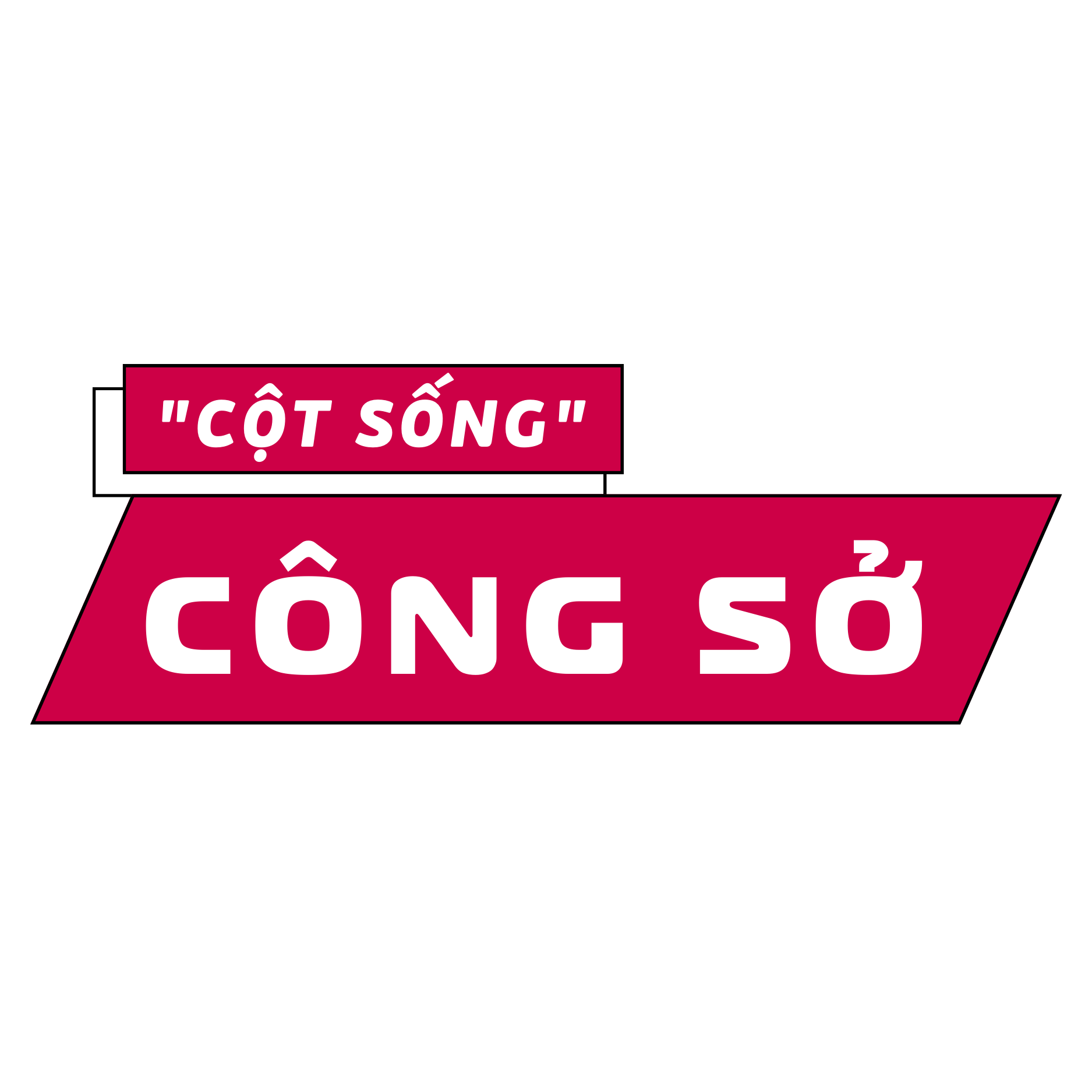 lĩnh vực hoạt động