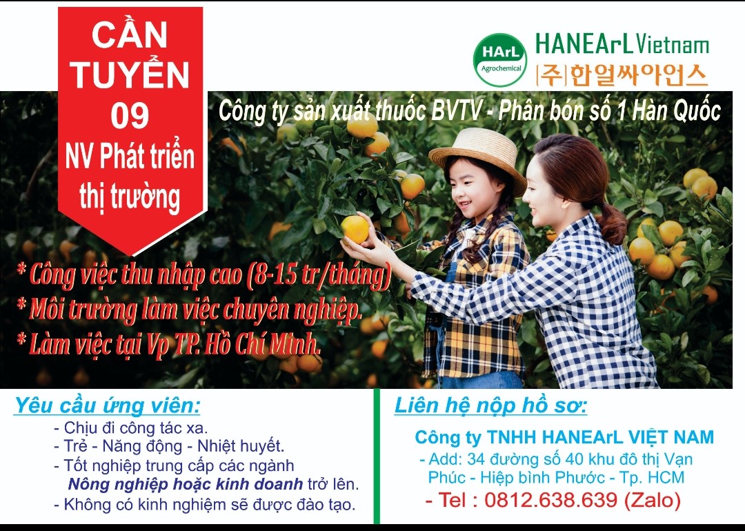 lĩnh vực hoạt động