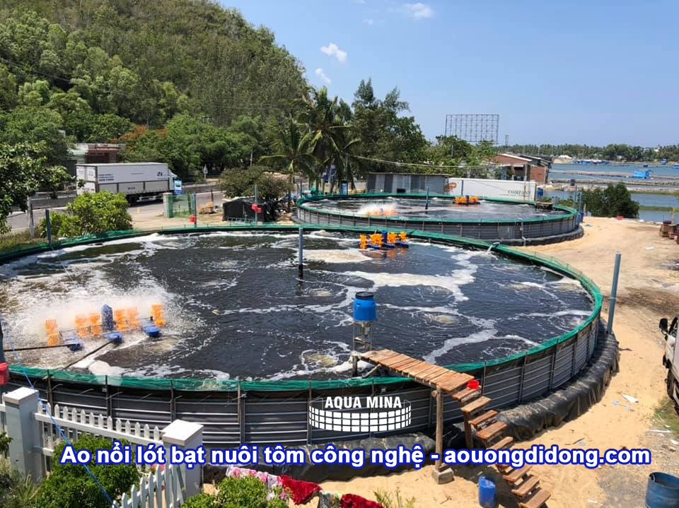 lĩnh vực hoạt động
