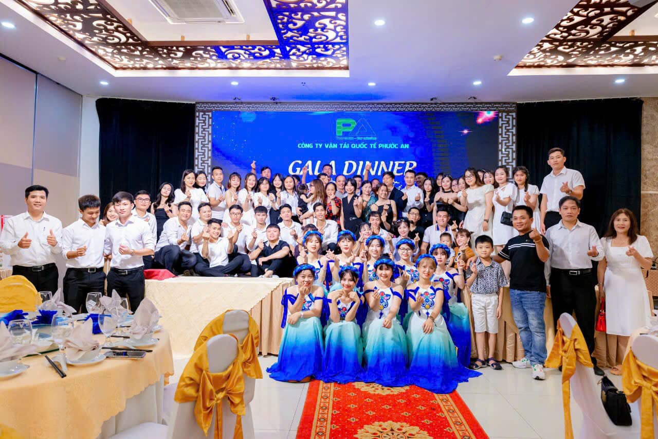 lĩnh vực hoạt động