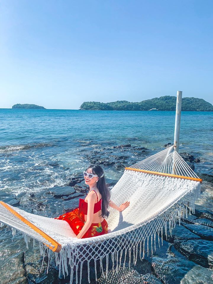 lĩnh vực hoạt động