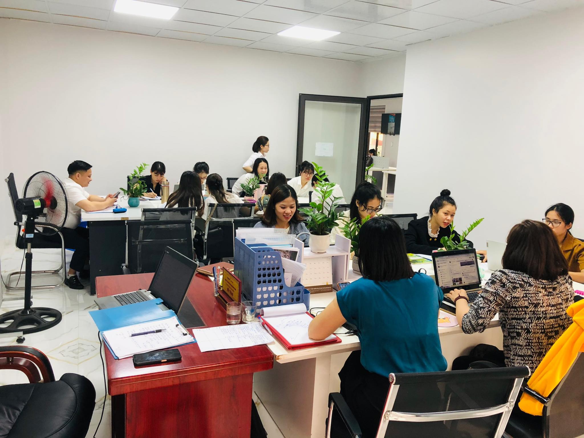 lĩnh vực hoạt động