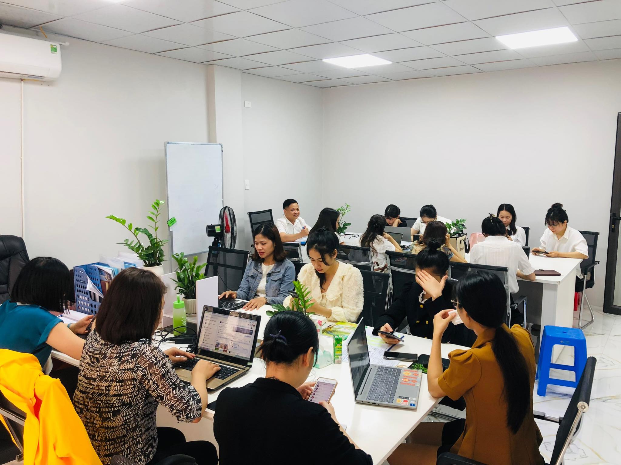 lĩnh vực hoạt động