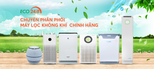 lĩnh vực hoạt động