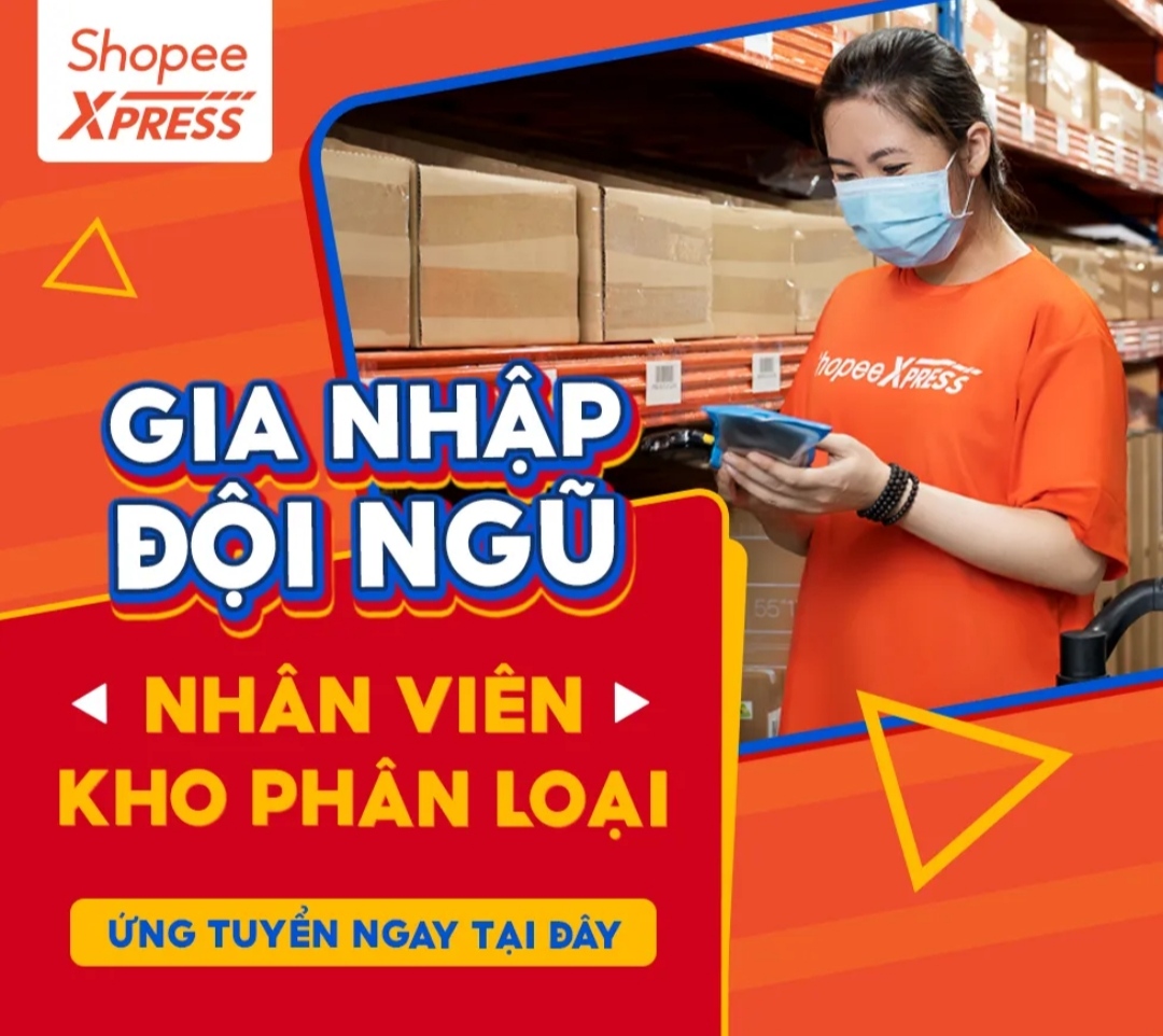 lĩnh vực hoạt động