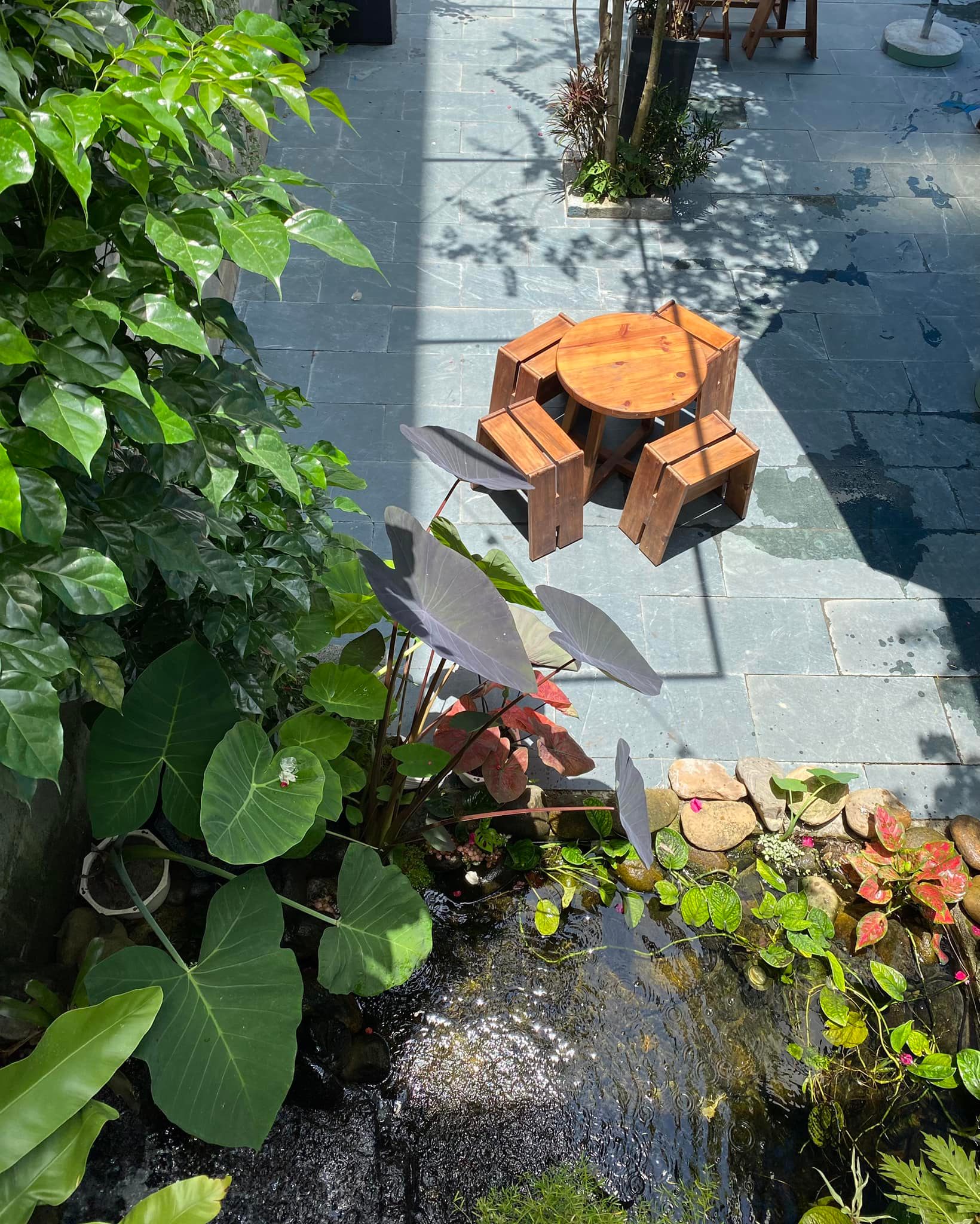 lĩnh vực hoạt động